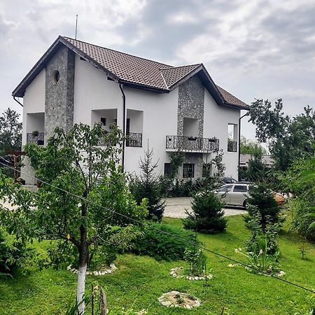 Pensiunea Codruta Cărpinişu Dış mekan fotoğraf