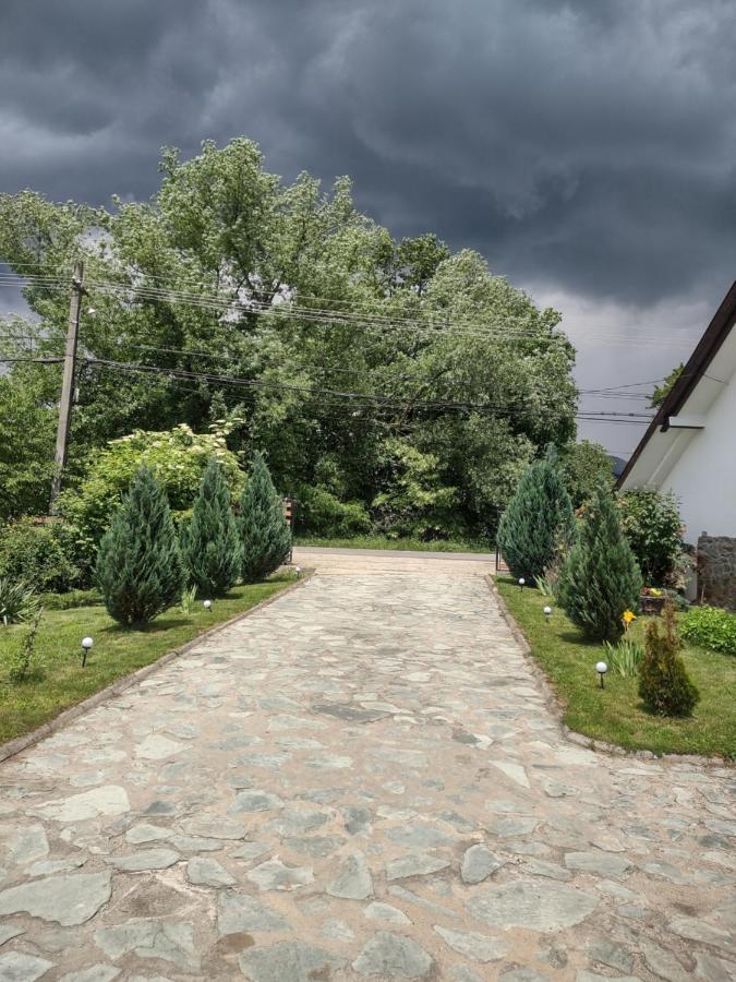 Pensiunea Codruta Cărpinişu Dış mekan fotoğraf