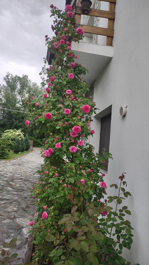 Pensiunea Codruta Cărpinişu Dış mekan fotoğraf