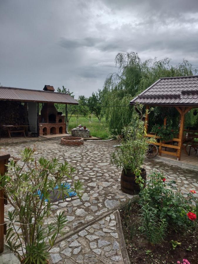 Pensiunea Codruta Cărpinişu Dış mekan fotoğraf
