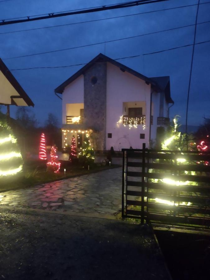 Pensiunea Codruta Cărpinişu Dış mekan fotoğraf