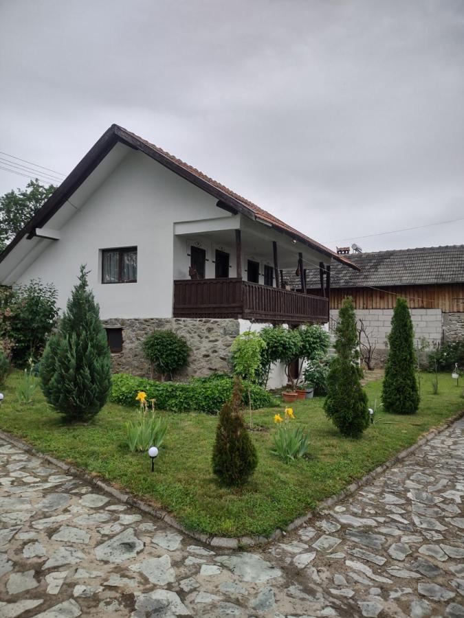 Pensiunea Codruta Cărpinişu Dış mekan fotoğraf