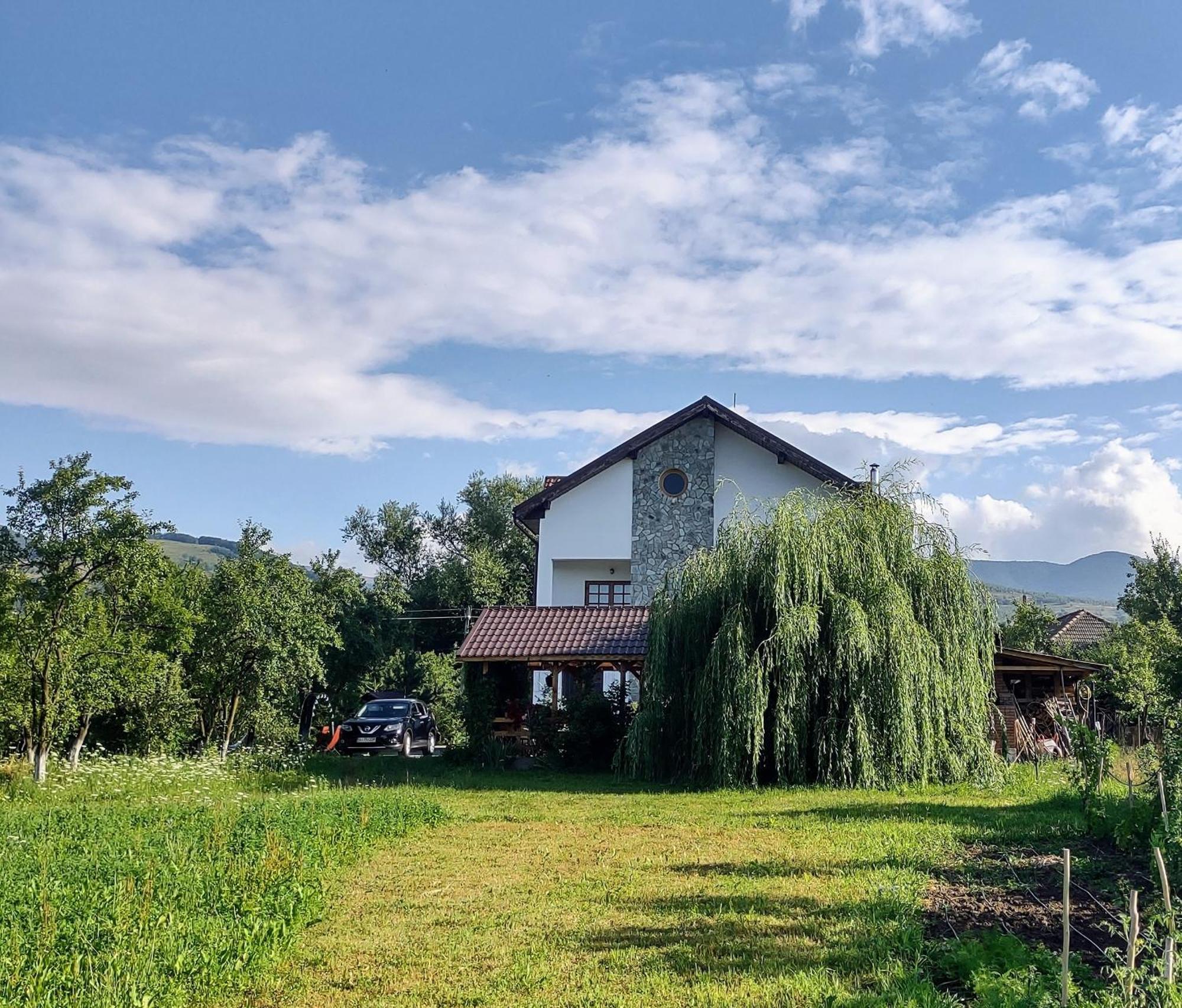 Pensiunea Codruta Cărpinişu Dış mekan fotoğraf