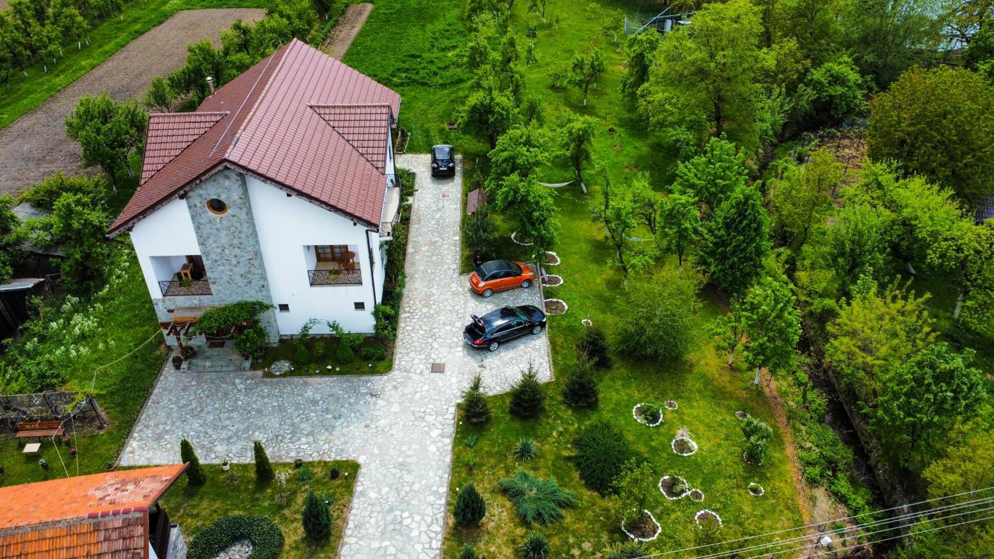 Pensiunea Codruta Cărpinişu Oda fotoğraf