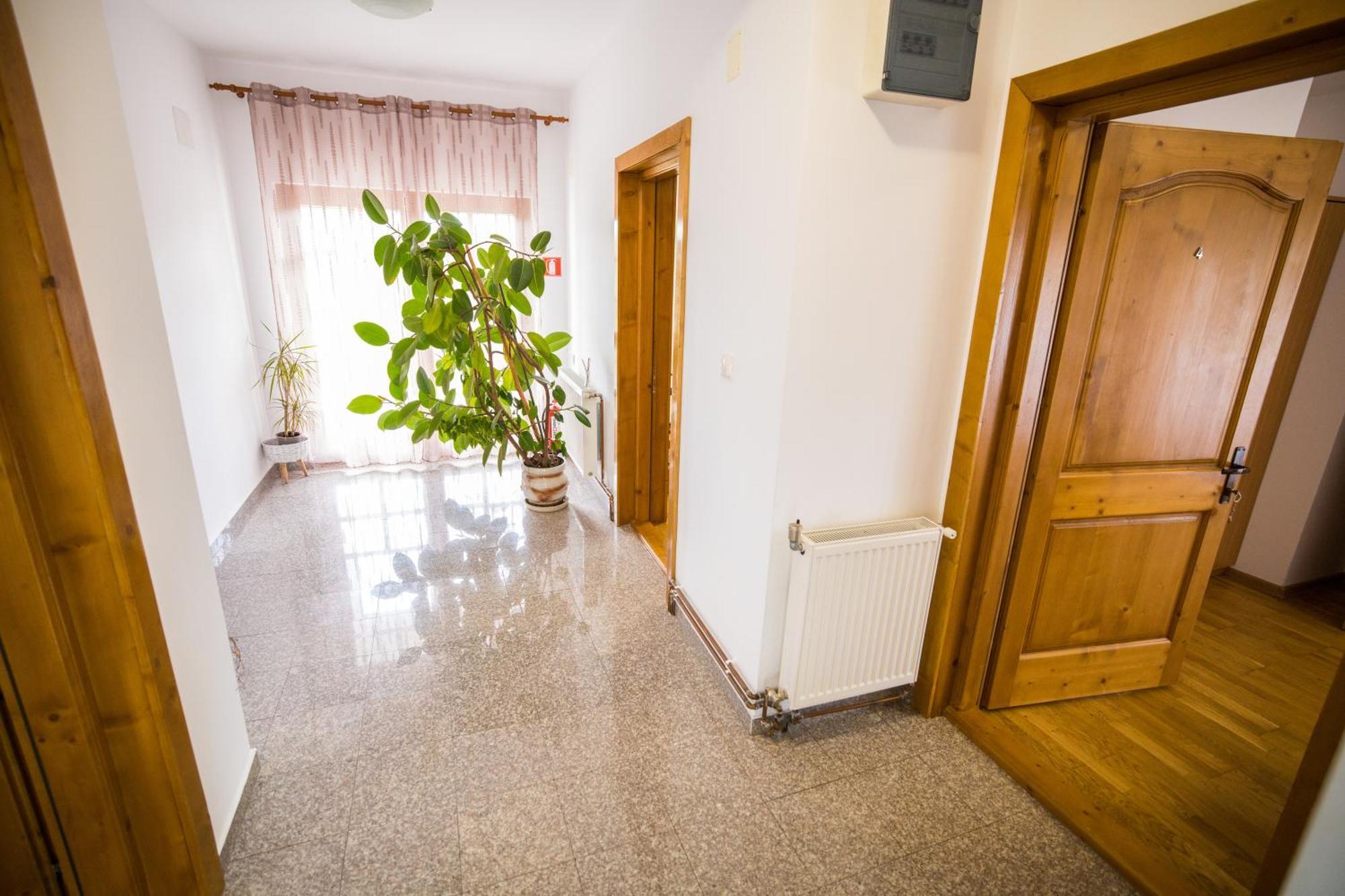 Pensiunea Codruta Cărpinişu Dış mekan fotoğraf