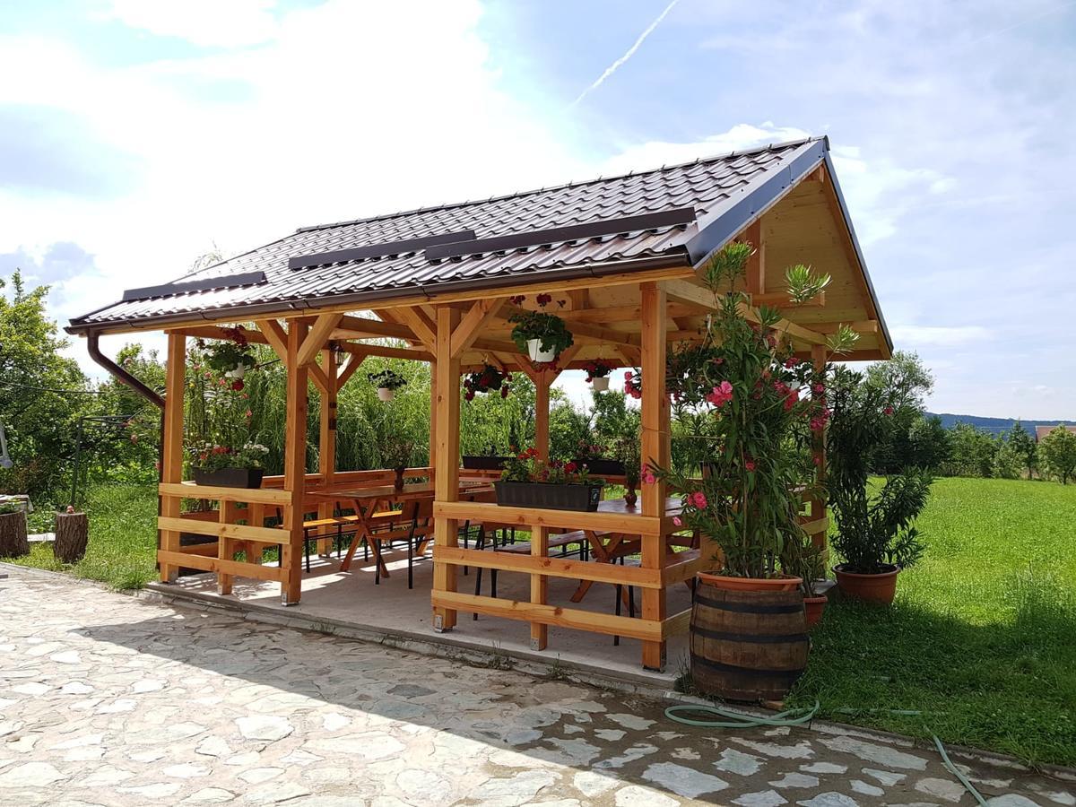 Pensiunea Codruta Cărpinişu Dış mekan fotoğraf