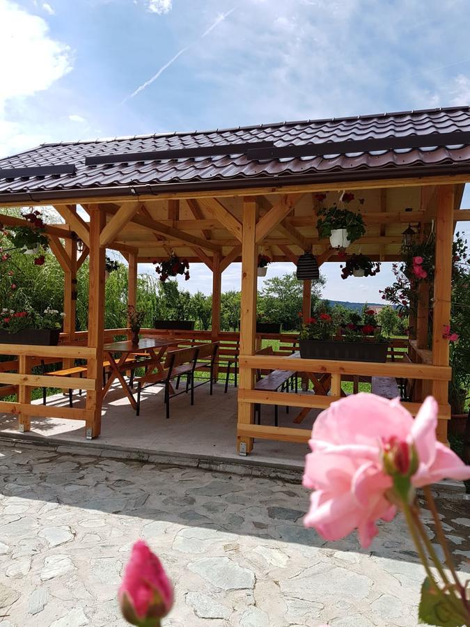 Pensiunea Codruta Cărpinişu Dış mekan fotoğraf